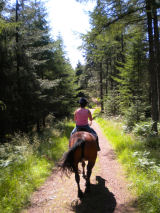 Grizedale, Grizedale Horse Riding