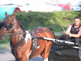 Appleby Horse Fair, Appleby in Westmorland