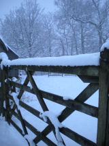 Gate with snow